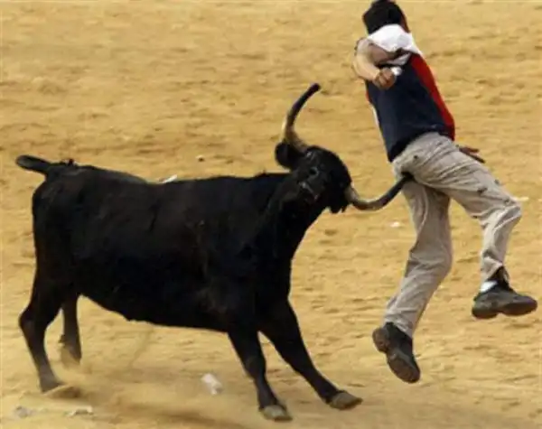 Fail`s