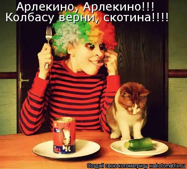 Котоматрицы))) много...