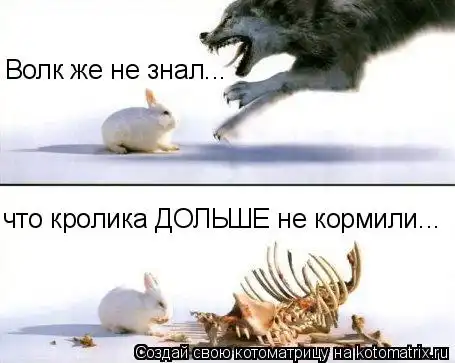 Котоматрицы))) много...