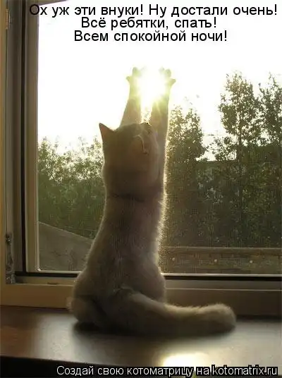 Котоматрицы))) много...