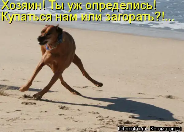 Котоматрицы))) много...
