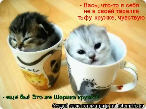 Котоматрицы))) много...