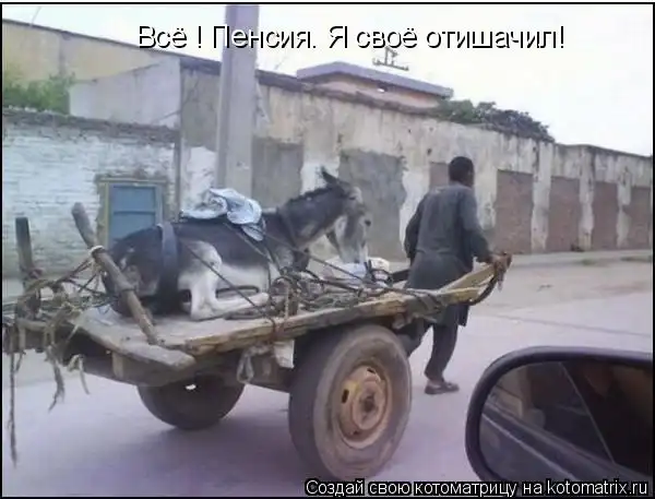 Котоматрицы))) много...