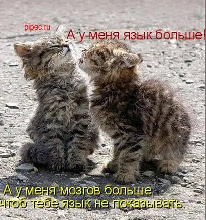 Умилительные котоматрицы)))