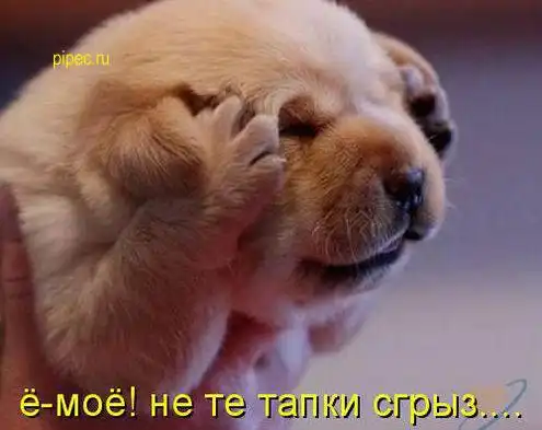Умилительные котоматрицы)))
