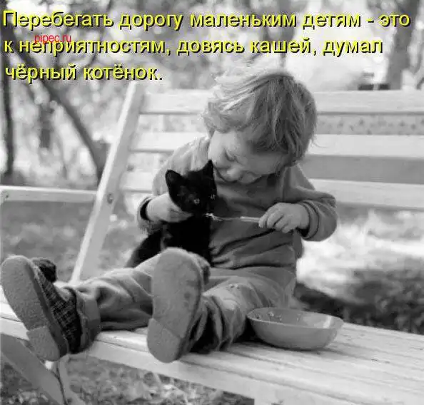 Умилительные котоматрицы)))