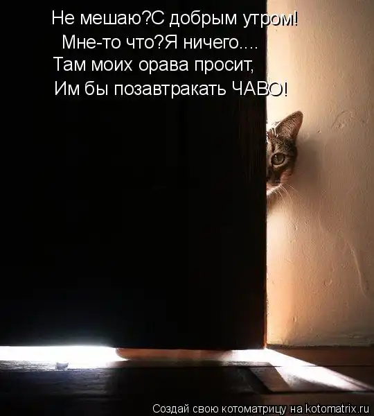 Котоматрицы))) много...