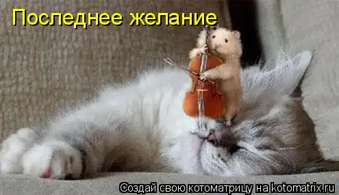 Котоматрицы))) много...