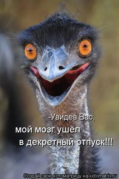 Котоматрицы))) много...
