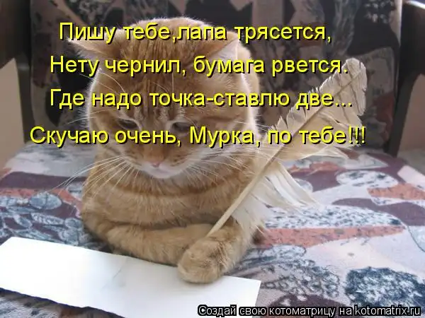 Котоматрицы))) много...