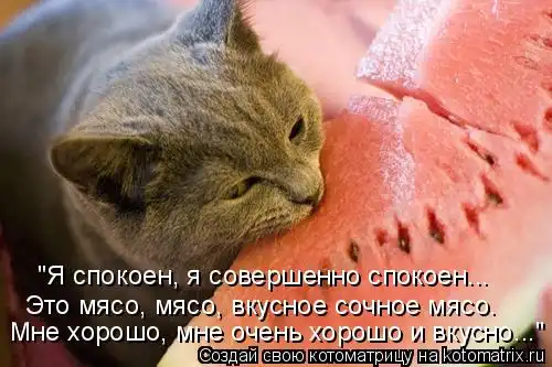 Котоматрицы))) много...