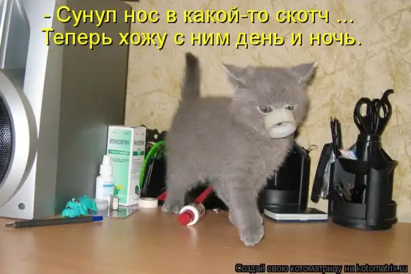 Котоматрицы))) много...