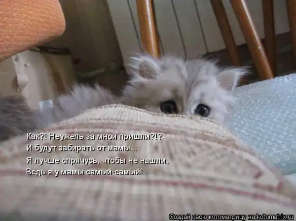 Котоматрицы))) много...
