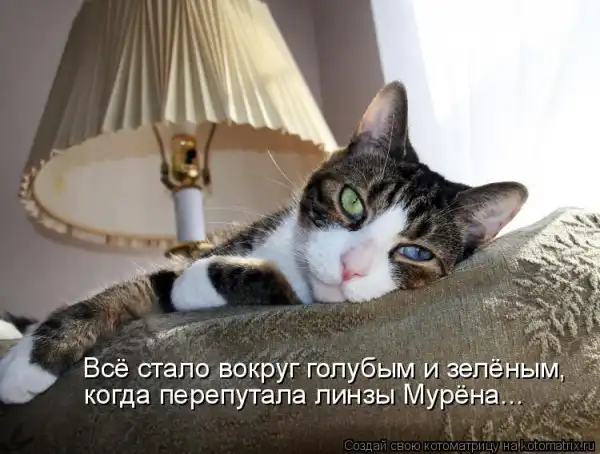 Котоматрицы))) много...