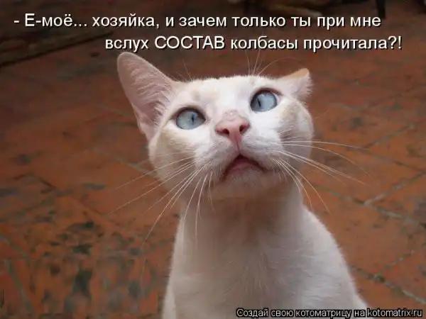 Котоматрицы))) много...