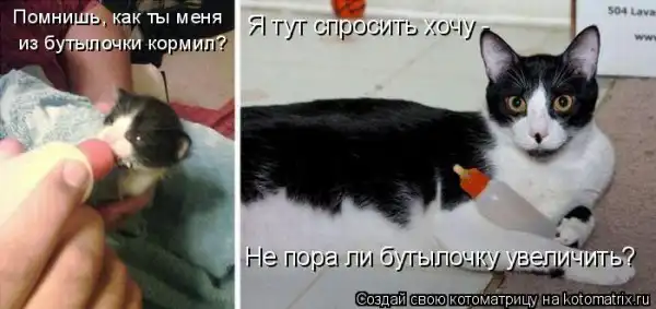 Котоматрицы))) много...
