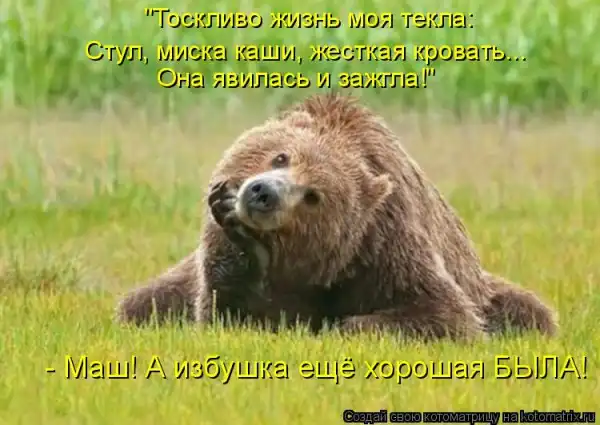 Котоматрицы))) много...