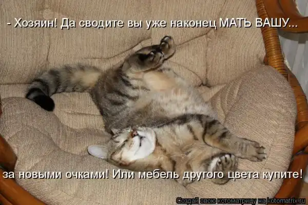 Котоматрицы))) много...