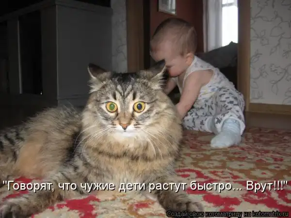 Котоматрицы))) много...
