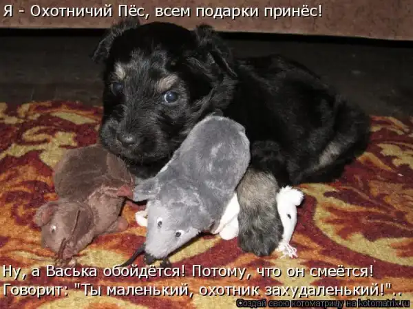 Котоматрицы))) много...