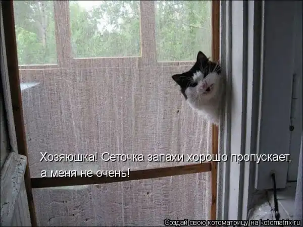 Котоматрицы))) много...