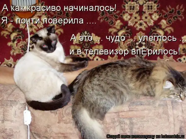 Котоматрицы))) много...