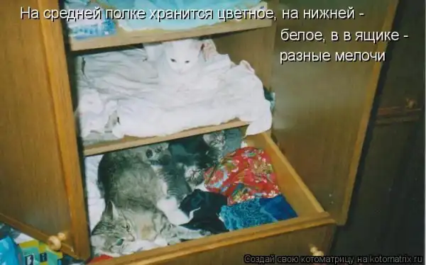 Котоматрицы))) много...