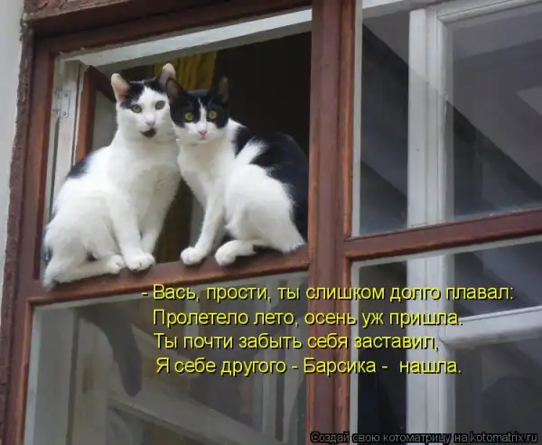 Котоматрицы))) много...