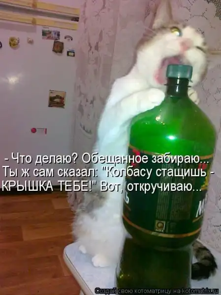 Котоматрицы))) много...