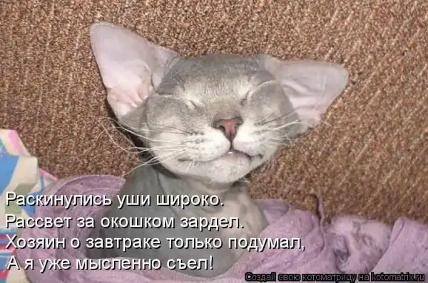 Котоматрицы))) много...