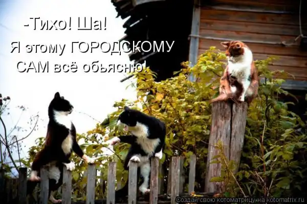Котоматрицы))) много...