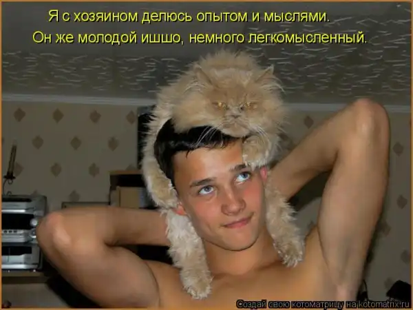 Котоматрицы))) много...