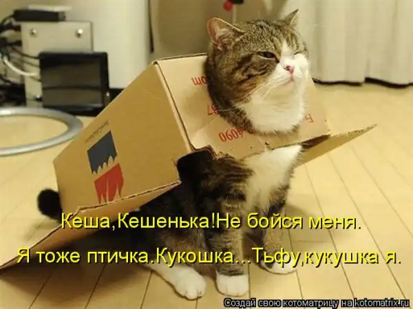 Котоматрицы))) много...