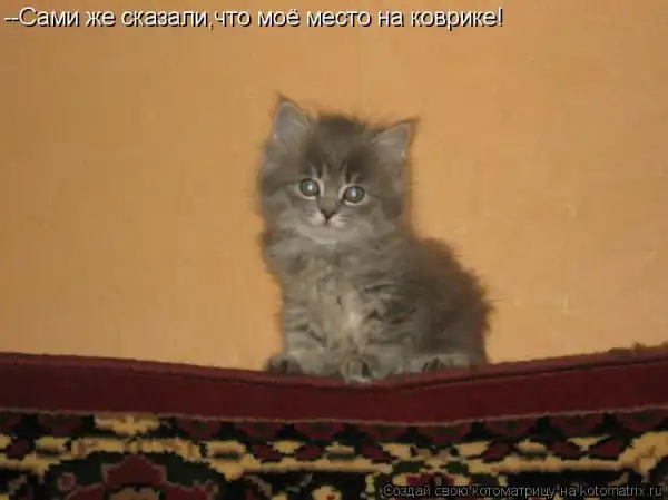 Котоматрицы))) много...