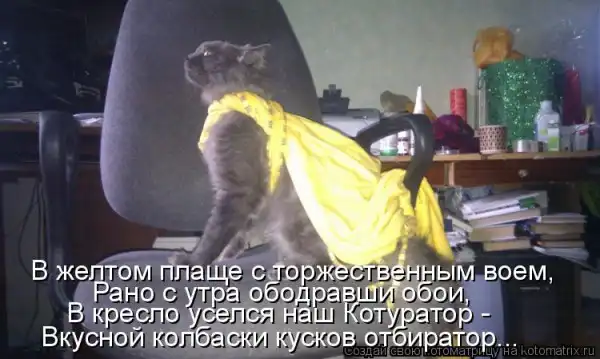 Котоматрицы))) много...