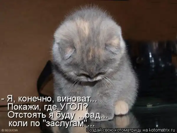 Котоматрицы))) много...