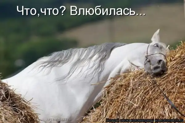 Котоматрицы))) много...