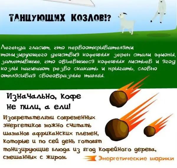 Вещи, которые необходимо знать о кофе (11 картинок)
