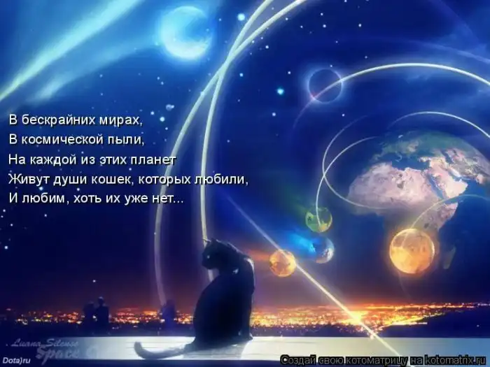 Лучшие котоматрицы недели Лучшие котоматрицы недели