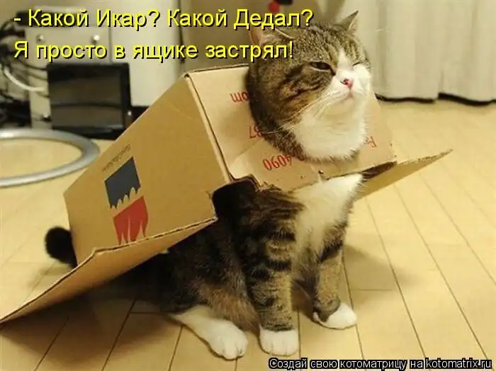 Лучшие котоматрицы недели Лучшие котоматрицы недели