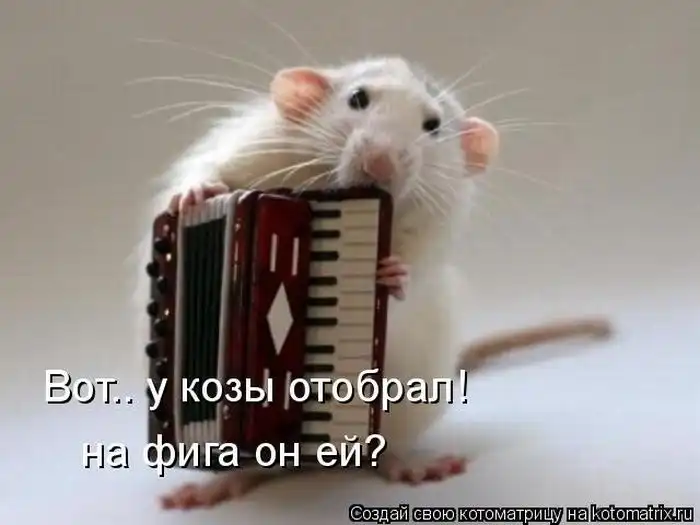 Лучшие котоматрицы недели Лучшие котоматрицы недели