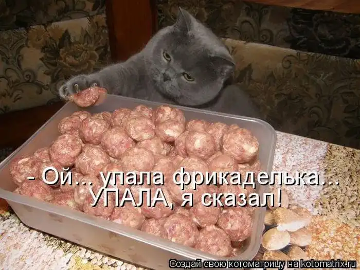 Лучшие котоматрицы недели Лучшие котоматрицы недели