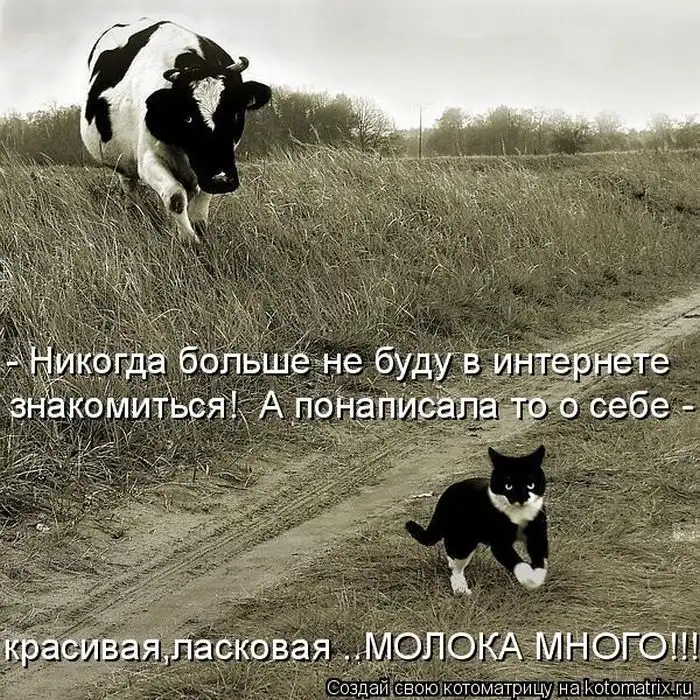 Лучшие котоматрицы недели Лучшие котоматрицы недели