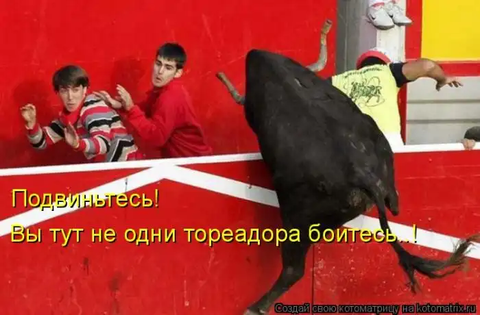 Лучшие котоматрицы недели Лучшие котоматрицы недели