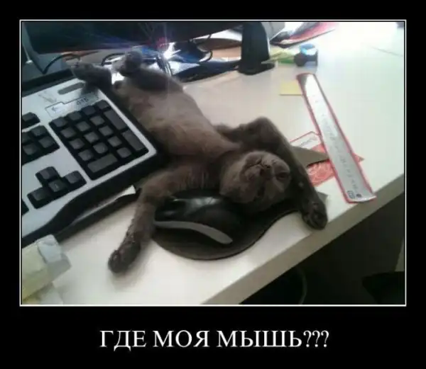 Демотиваторы на пятницу (36 фото)
