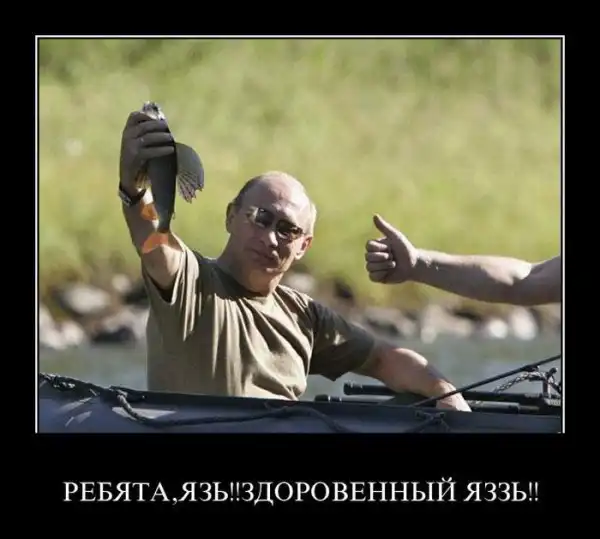 Демотиваторы на пятницу (36 фото)