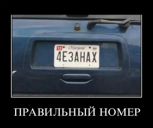 Демотиваторы на пятницу (36 фото)