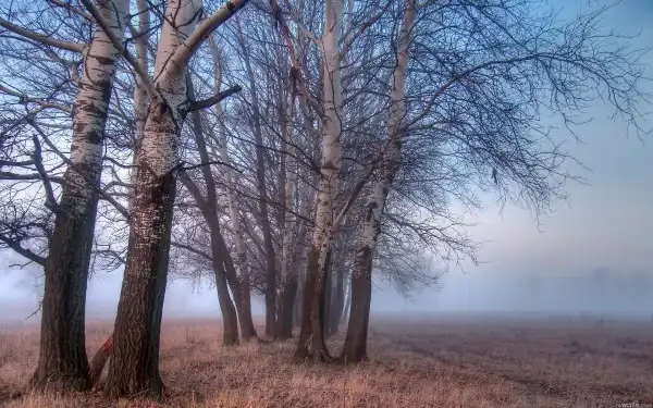 Фотоподборка