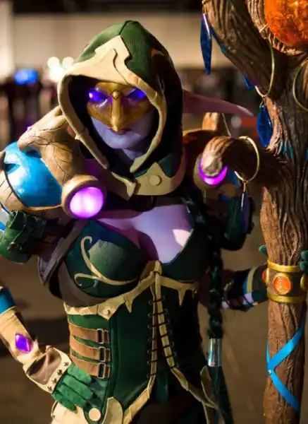Конкурс костюмов BlizzCon 2011 (38 фото)
