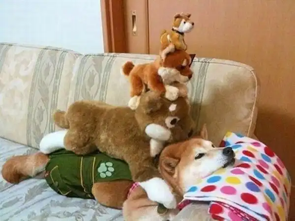 Прикольные картинки (93 фото)